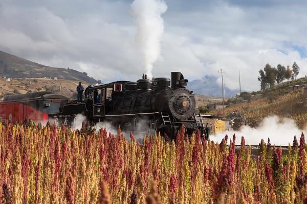 Ibarra.- El Tren de los Lagos, busca convertir a la provincia de Imbabura en un referente turístico del país. |Foto: MinTur