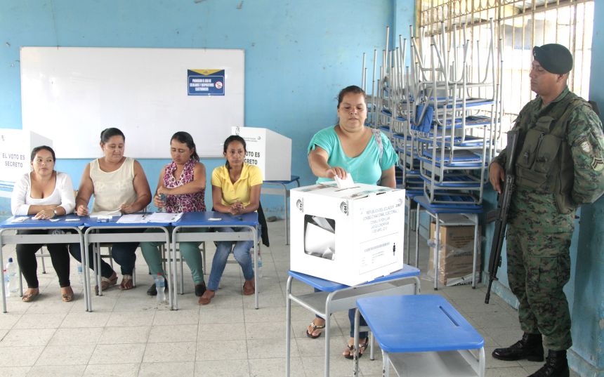 consulta golondrinas.jpg