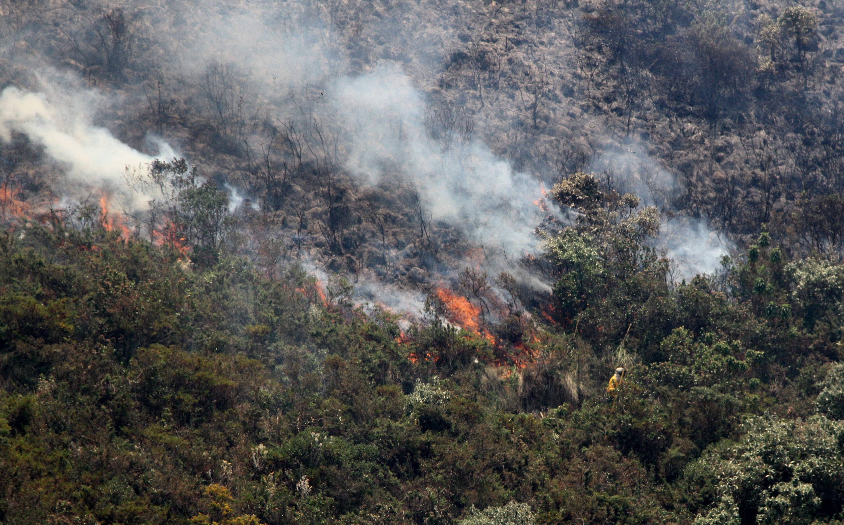 incendio boli