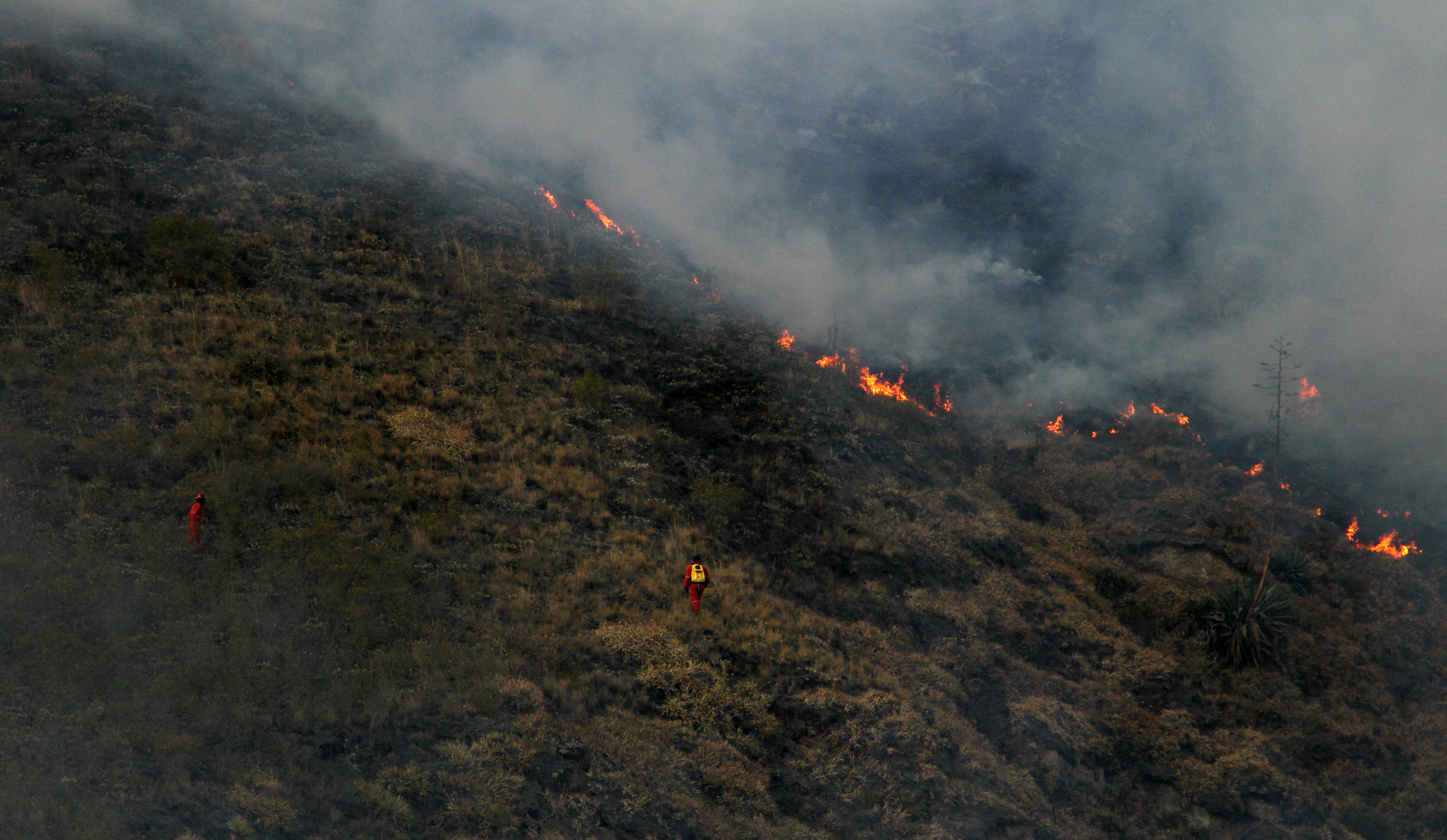 incendios hect