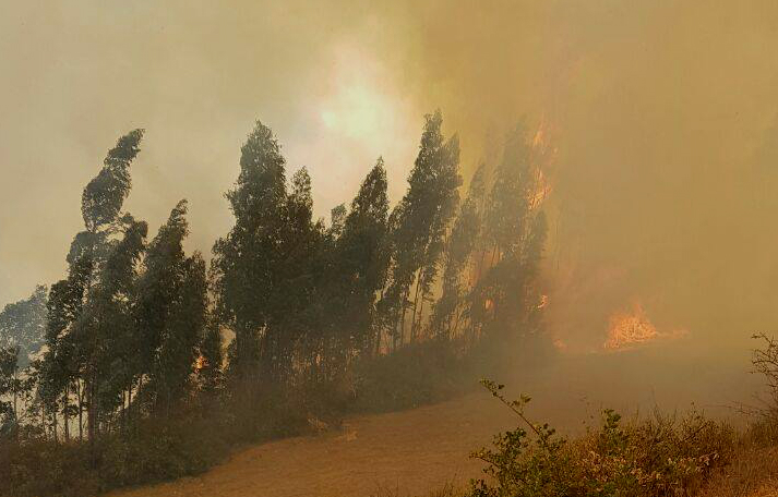 incendioromerilli