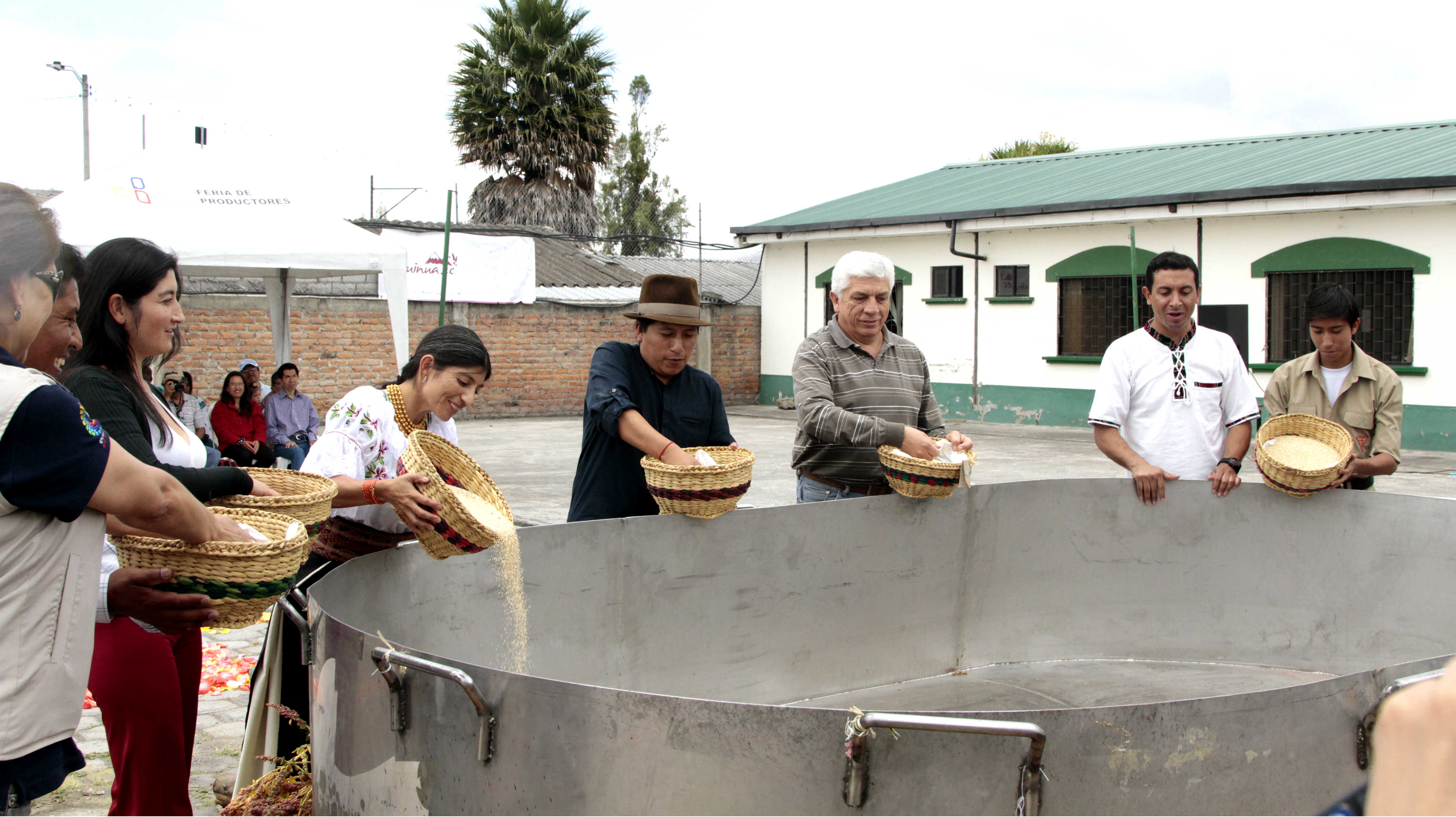 rutaquinua